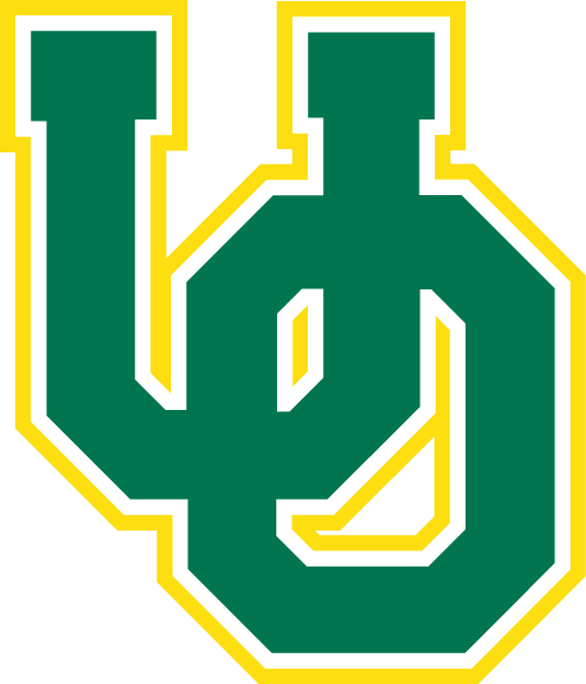 Oregon Ducks 1999-Pres Alternate Logo v3 diy iron on heat transfer